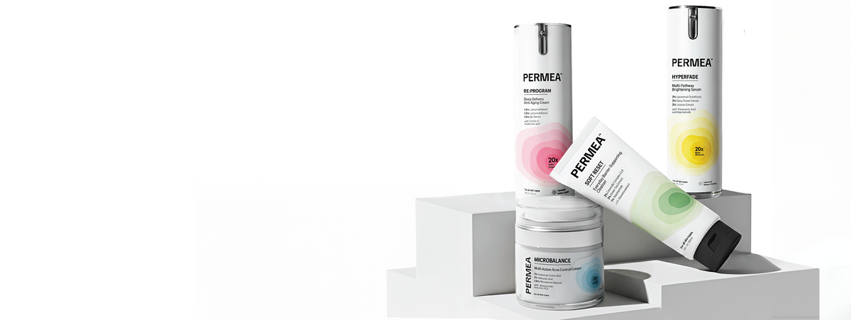 Permase Absorption focused skincare – Permea